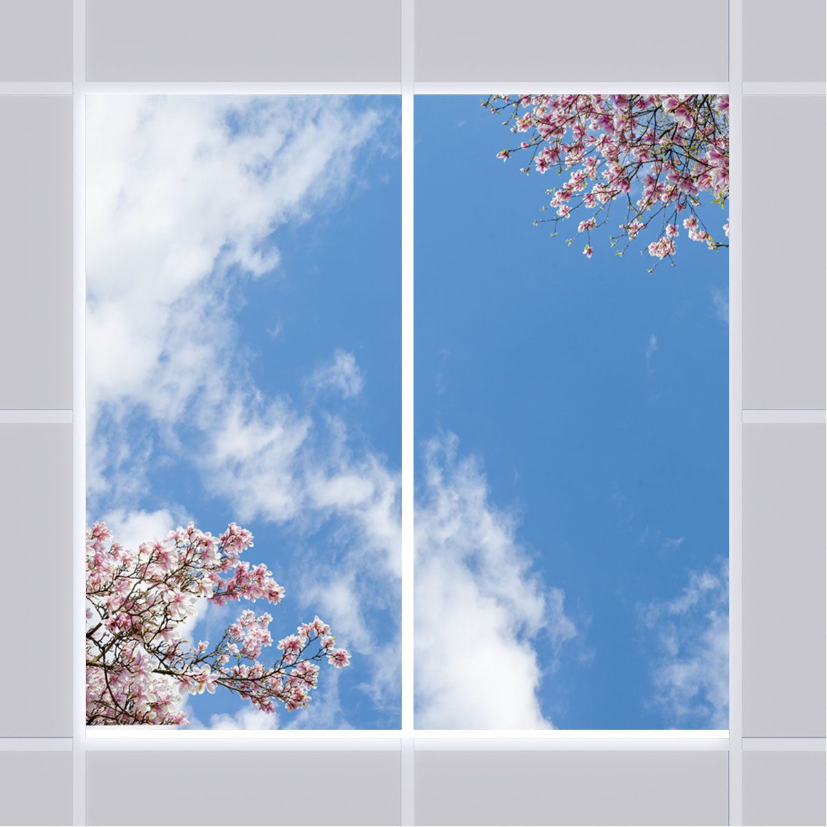 Deckenmotiv 007 Himmel & Bäume