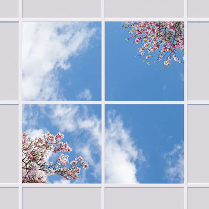 Deckenmotiv 007 Himmel & Bäume