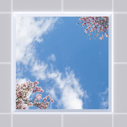Deckenmotiv 007 Himmel & Bäume