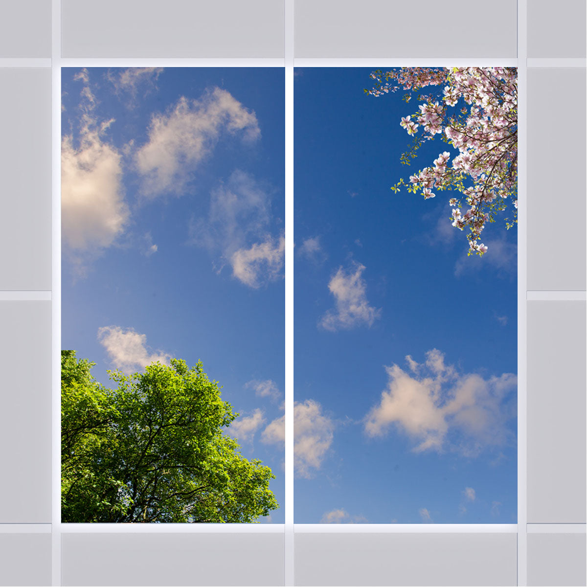 Deckenmotiv 009 Himmel & Bäume