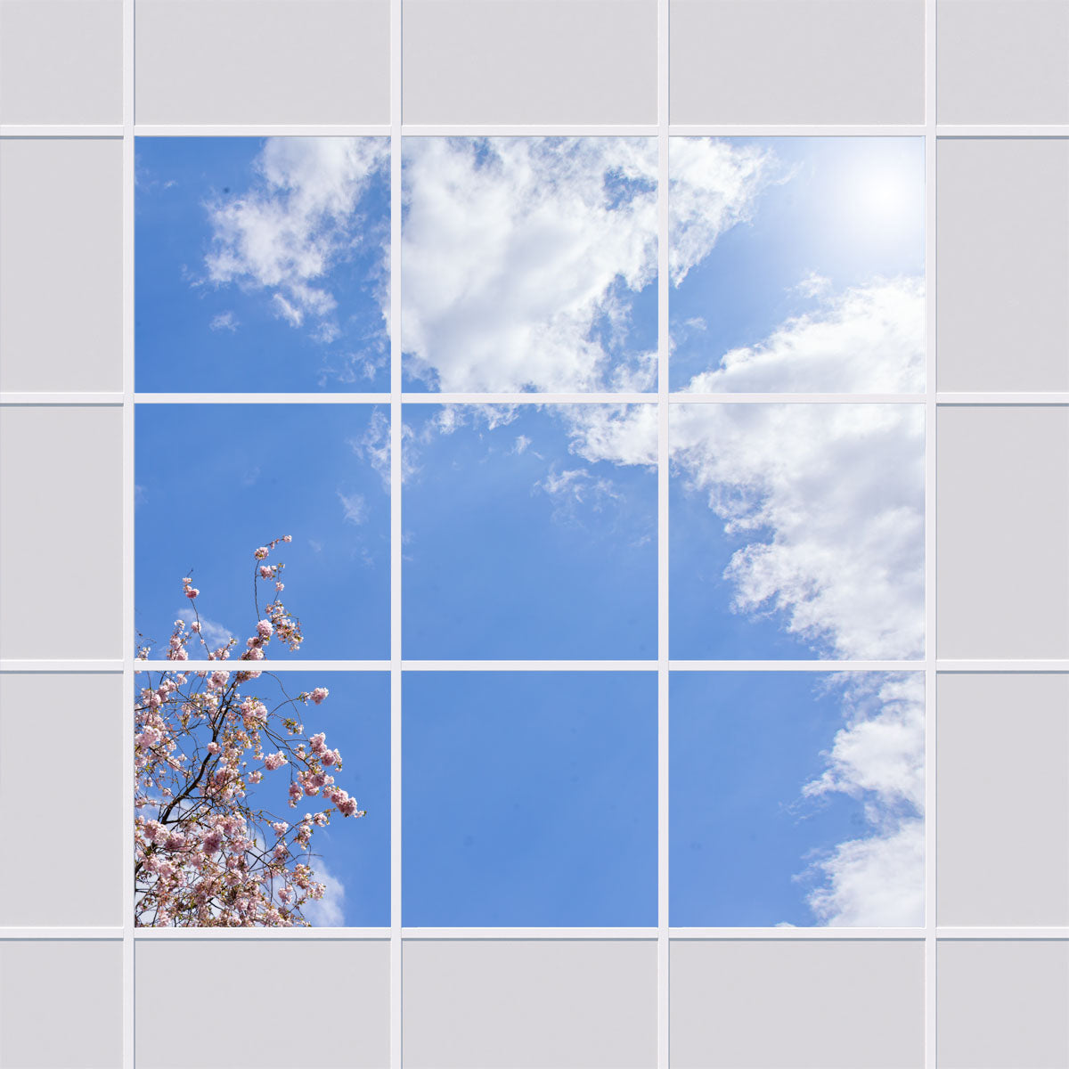Deckenmotiv 006 Himmel & Bäume