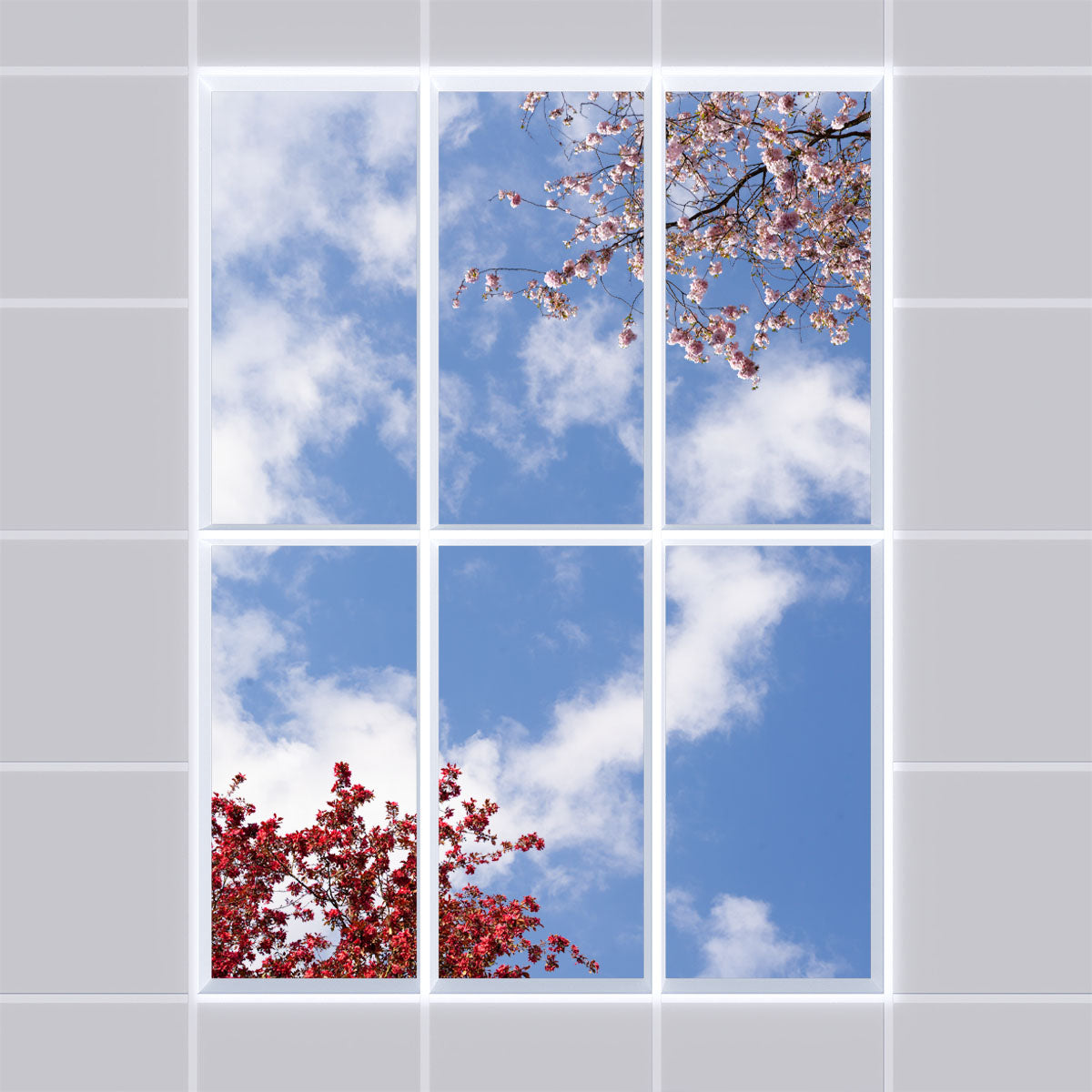 Deckenmotiv 006 Himmel & Bäume