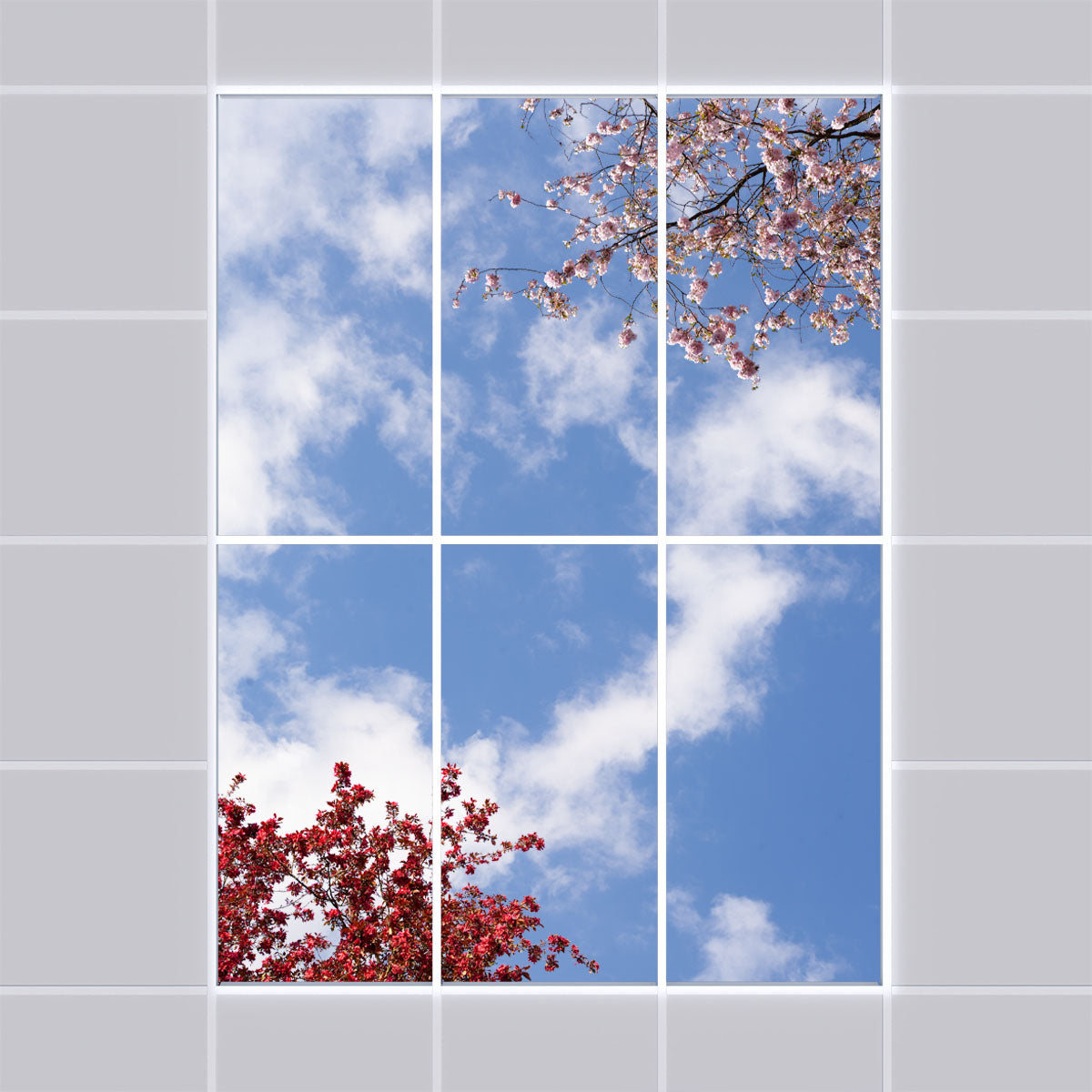 Deckenmotiv 006 Himmel & Bäume