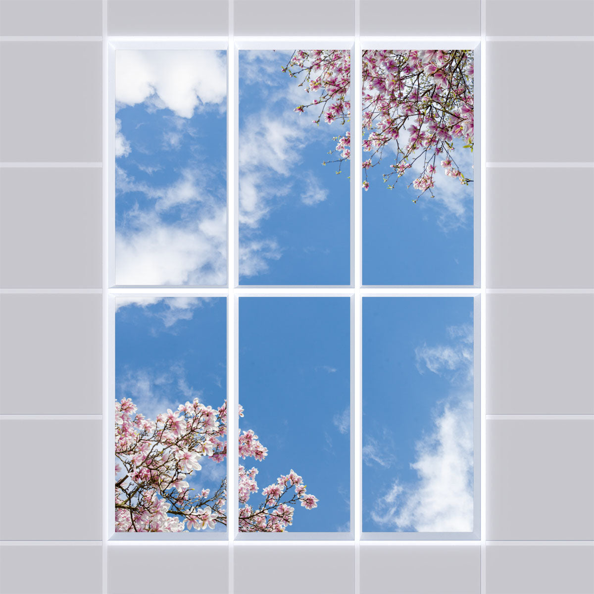 Deckenmotiv 007 Himmel & Bäume