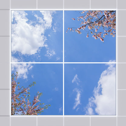 Deckenmotiv 006 Himmel & Bäume