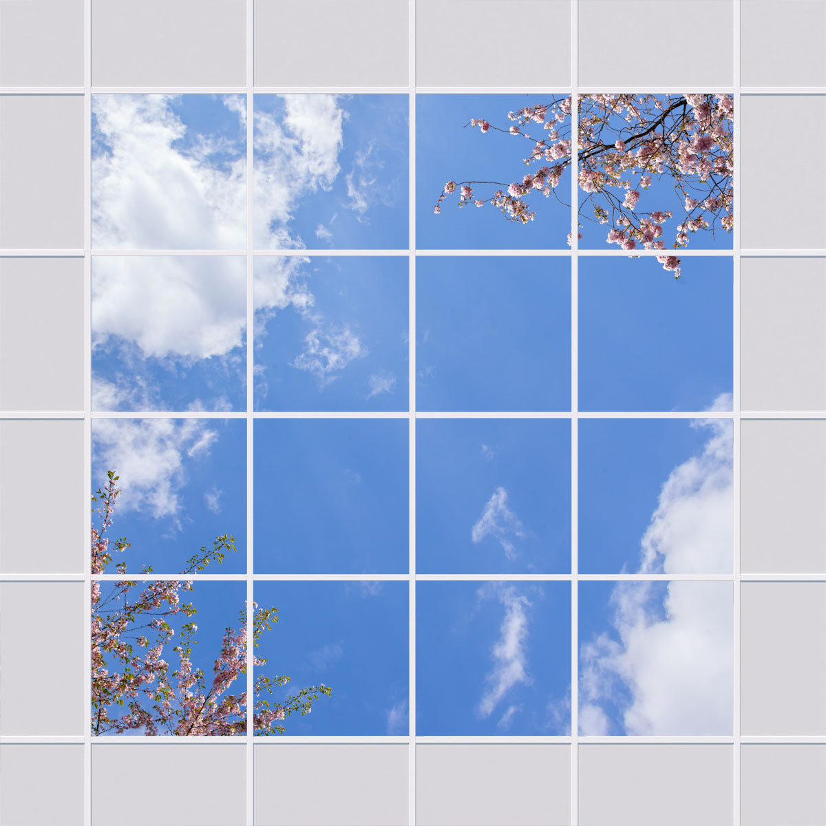 Deckenmotiv 006 Himmel & Bäume