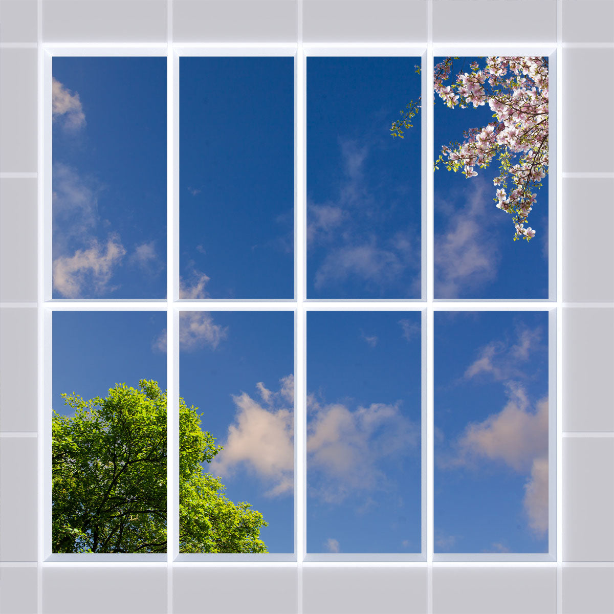 Deckenmotiv 009 Himmel & Bäume