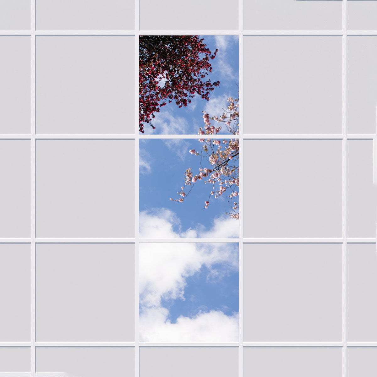 Deckenmotiv 006 Himmel & Bäume