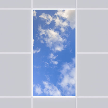 LED Panel 60x120cm mit Motiv Einlegeleuchte
